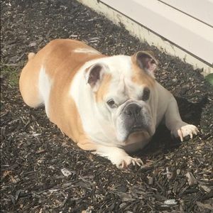 Meet your Posher, Robert